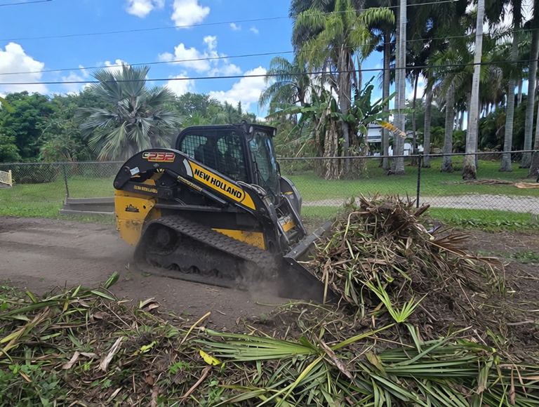 Brush Clearing